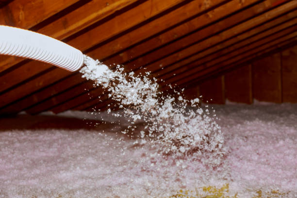 Best Best Insulation Companies  in Westway, TX