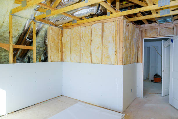 Best Local Insulation Services  in Westway, TX