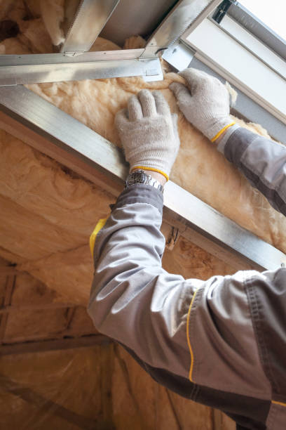 Best Insulation Removal  in Westway, TX