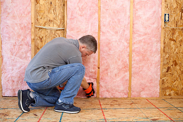 Best Professional Insulation Contractor  in Westway, TX