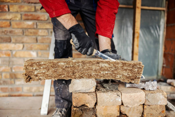 Best Insulation Contractor Near Me  in Westway, TX