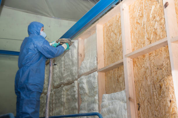 Best Crawl Space Insulation  in Westway, TX