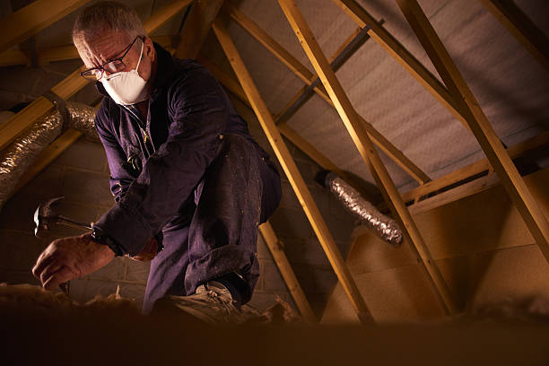 Best Insulation Removal Services  in Westway, TX